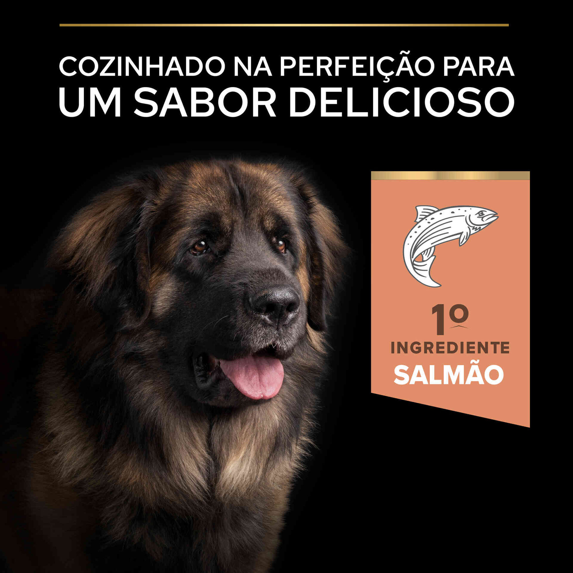 Ração para Cão Maxi Robust Sensitive Skin Salmão