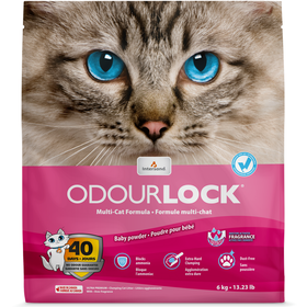 Areia Aglomerante Talco Areia Aglomerante Talco