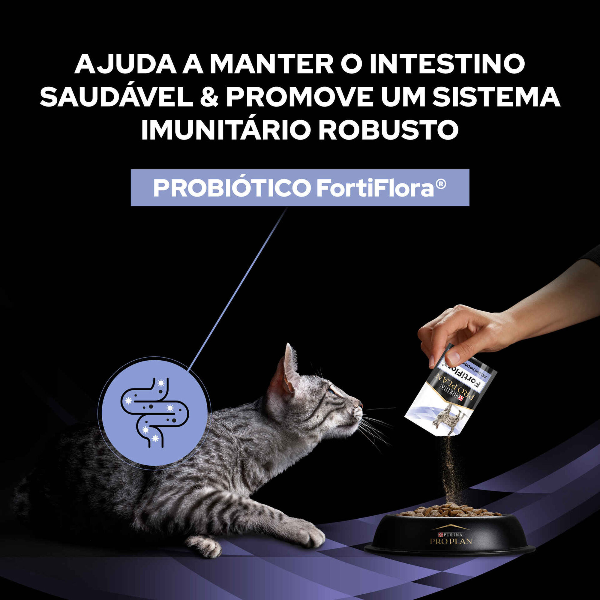 Suplemento Fortiflora para Gato Suplemento Fortiflora para Gato