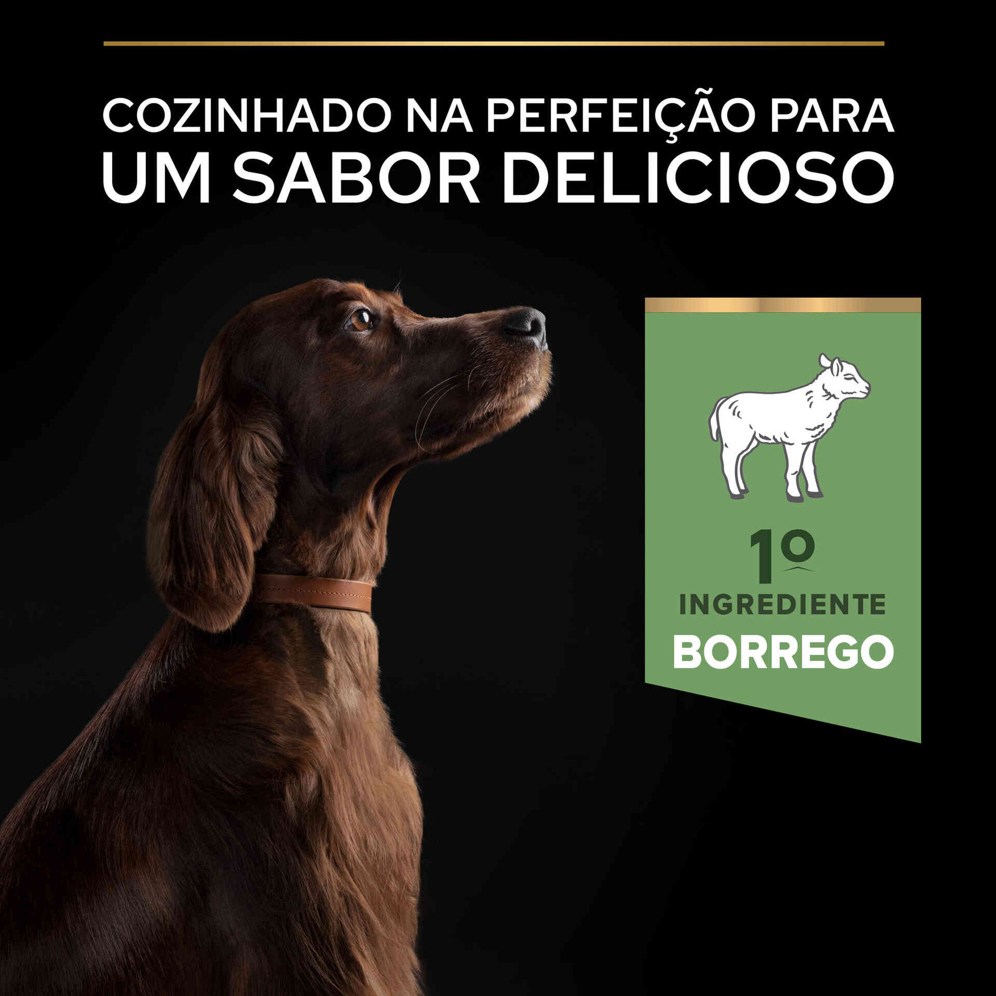 Ração para Cão Adulto Maxi Athletic Sensitive Digestion Borrego