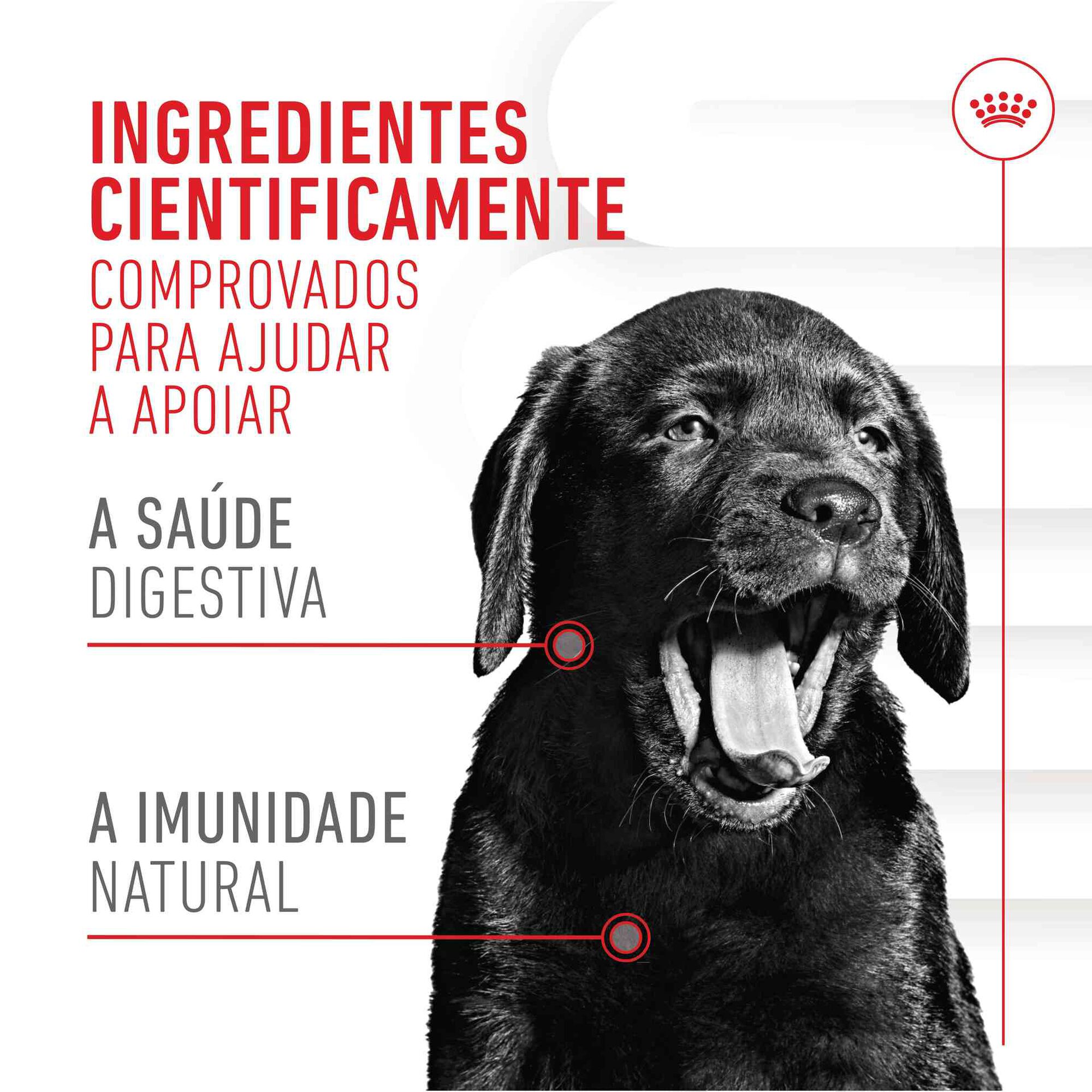 Suplemento Snack para Cão Júnior Immunity&Digestion Chews