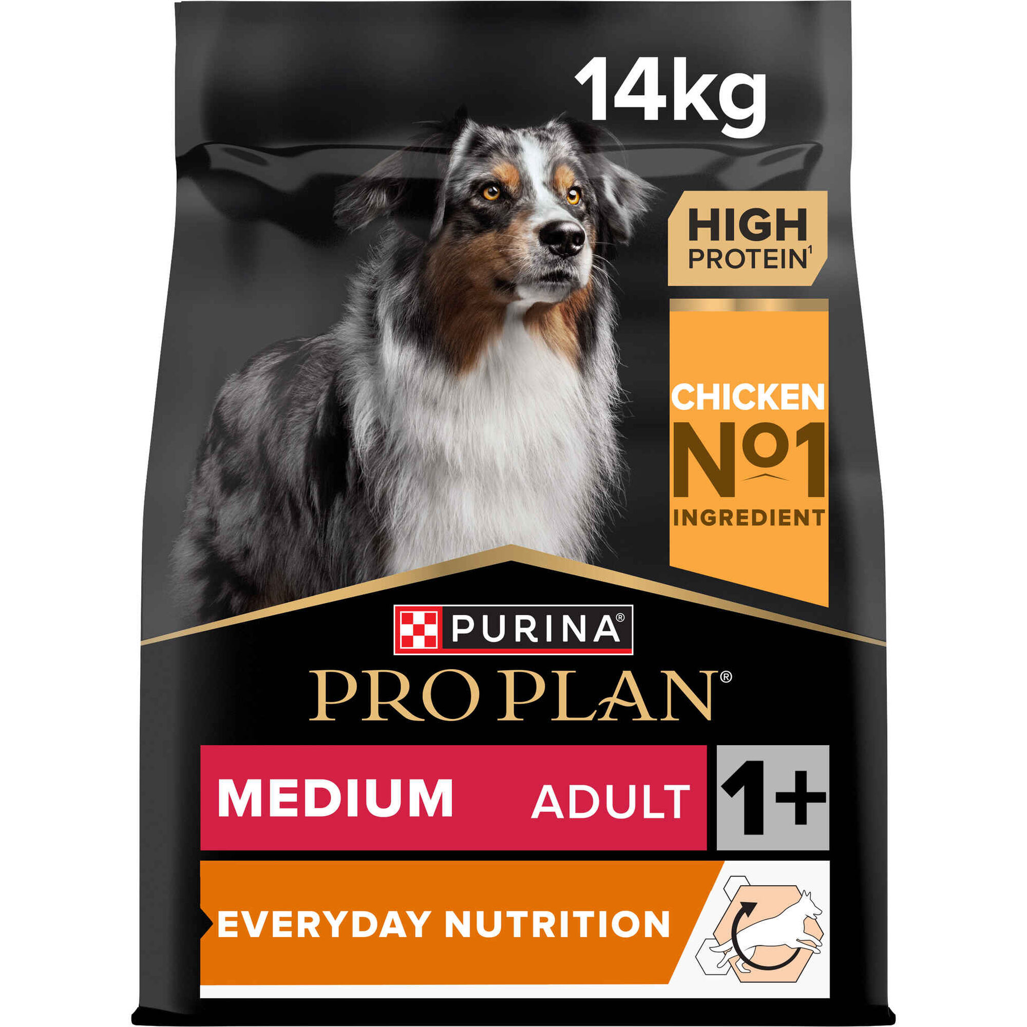 Ração para Cão Adulto Médio Everyday Nutrition Frango