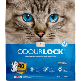 Areia Aglomerante Natural Areia Aglomerante Natural