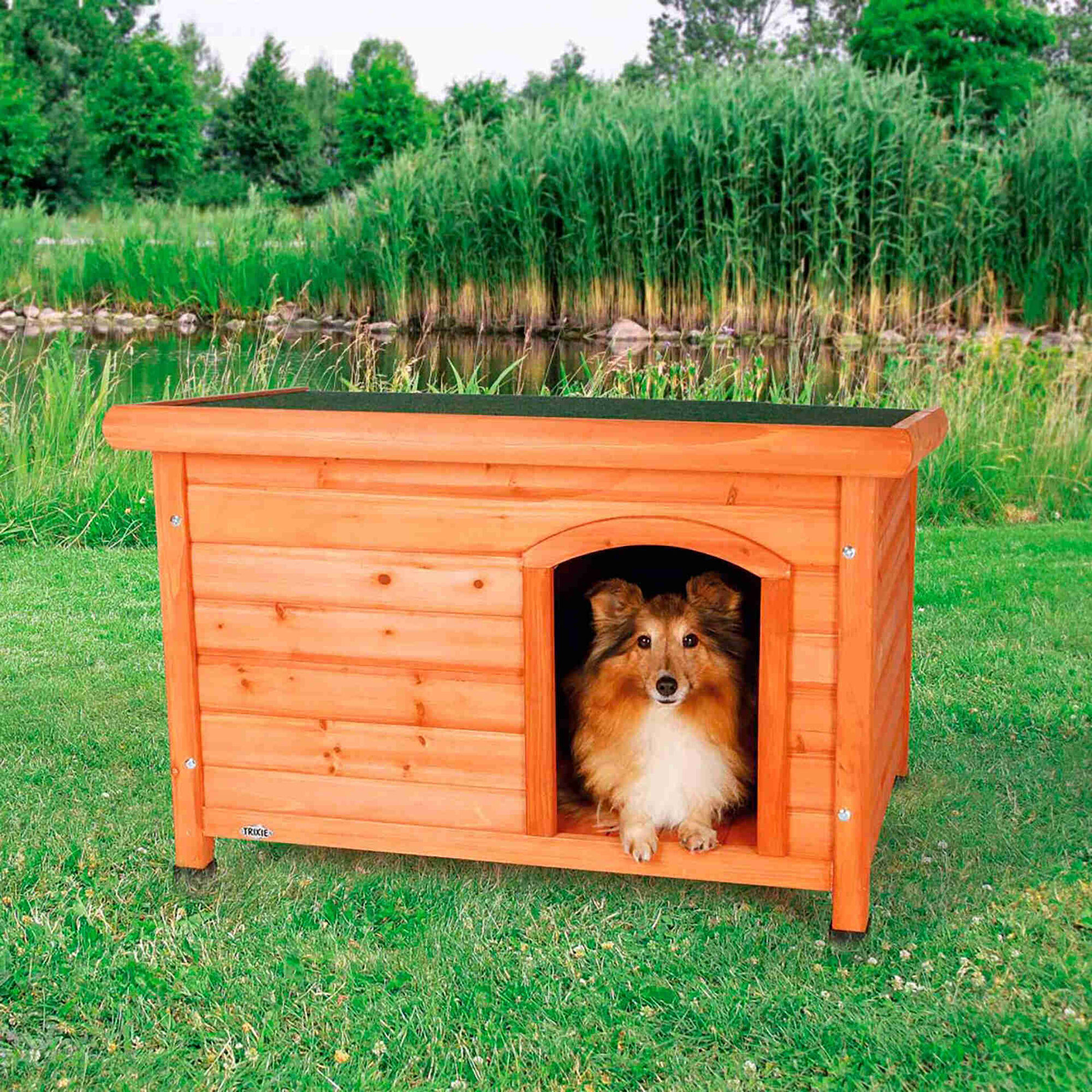 Casota Classic Castanho