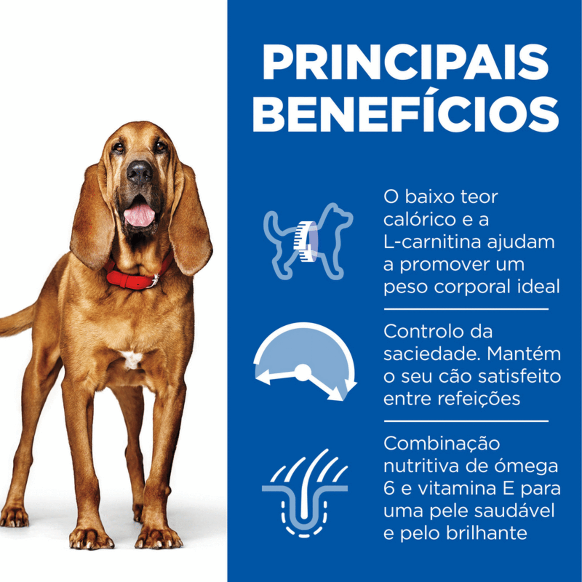 Ração para Cão Adulto Médio Science Plan Light Maturo 7+ Frango