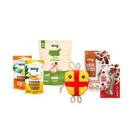 Caixa de Natal ZU para Cães Pequenos