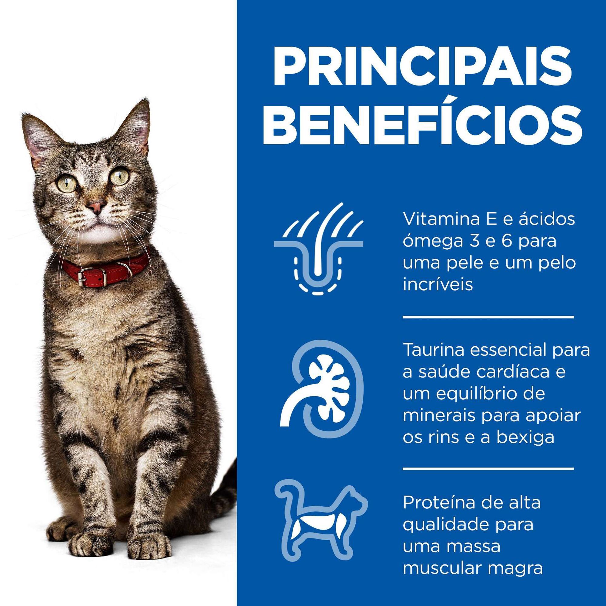 Comida Húmida para Gato Adulto Science Plan Frango