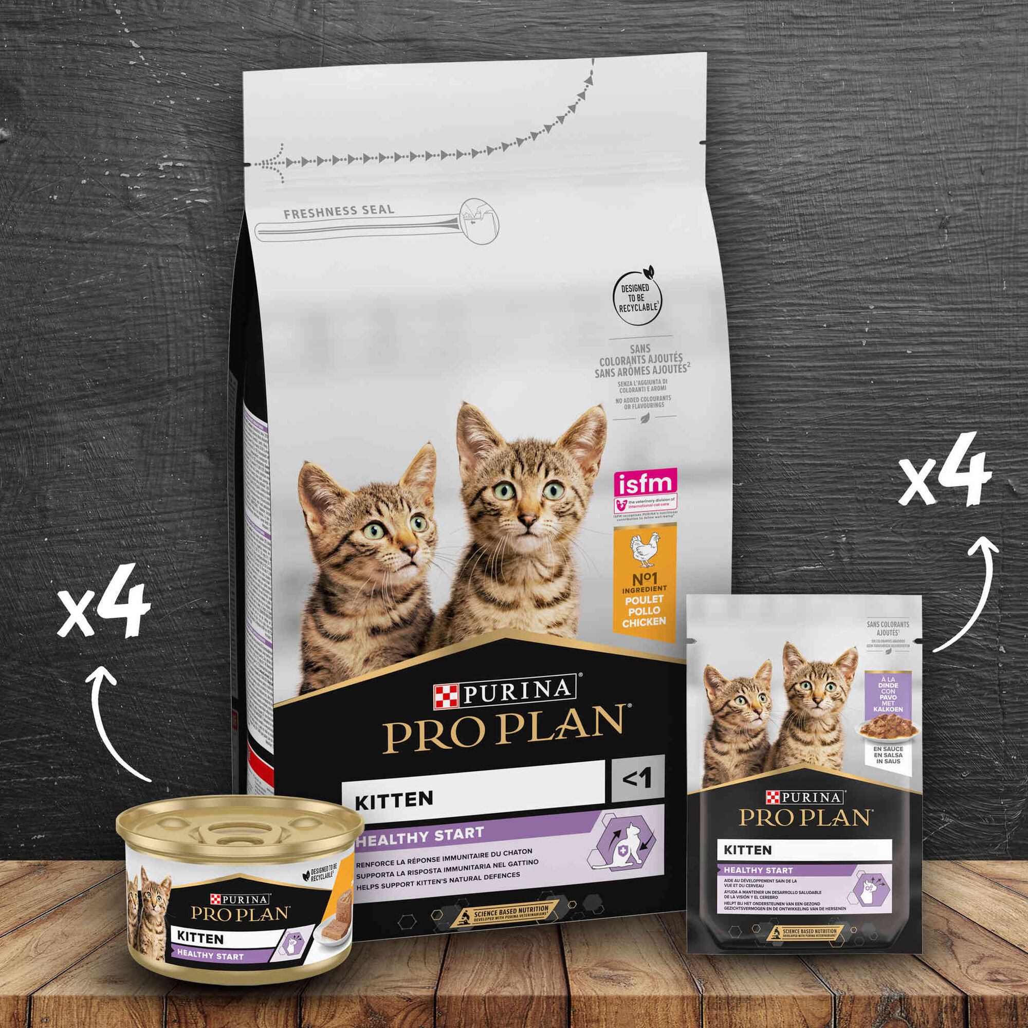 Kit de Alimentação para Gato Kitten