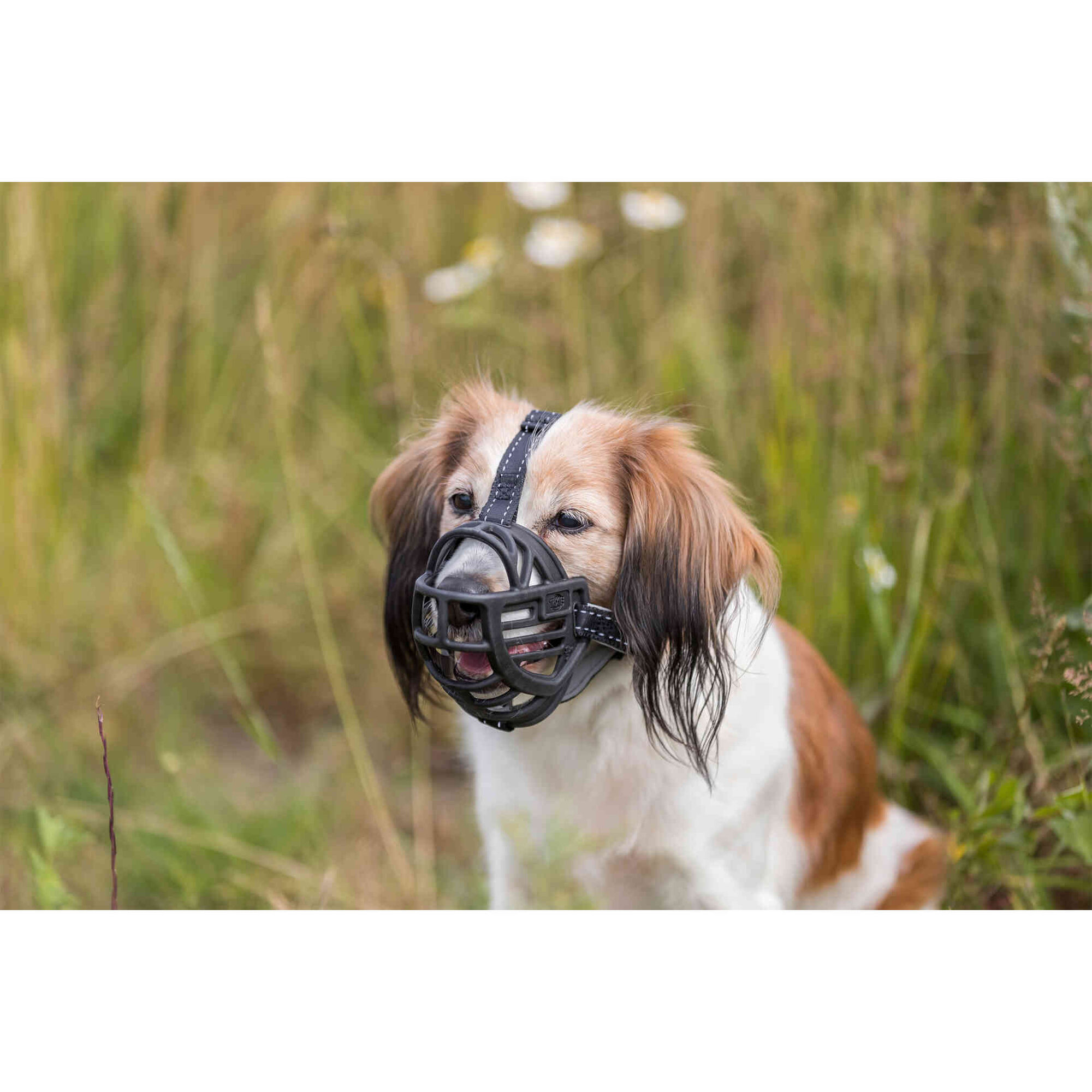 Açaime Silicone Flexível Preto 25 cm