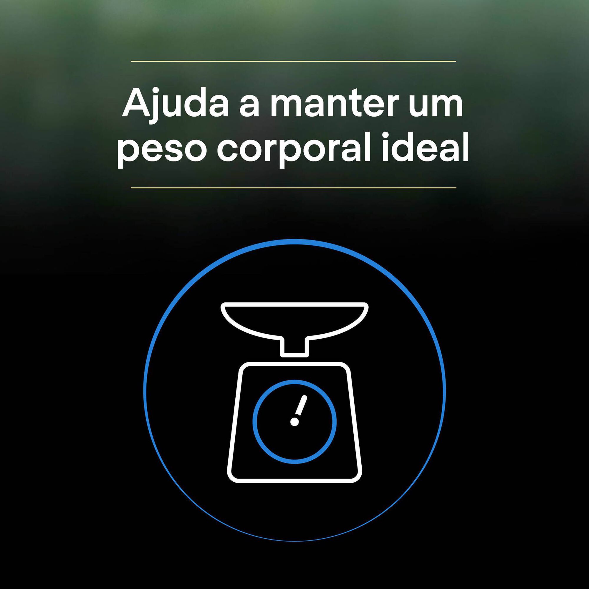 Ração para Gato Sénior Esterilizado Ageing +7 Live Clear Peru