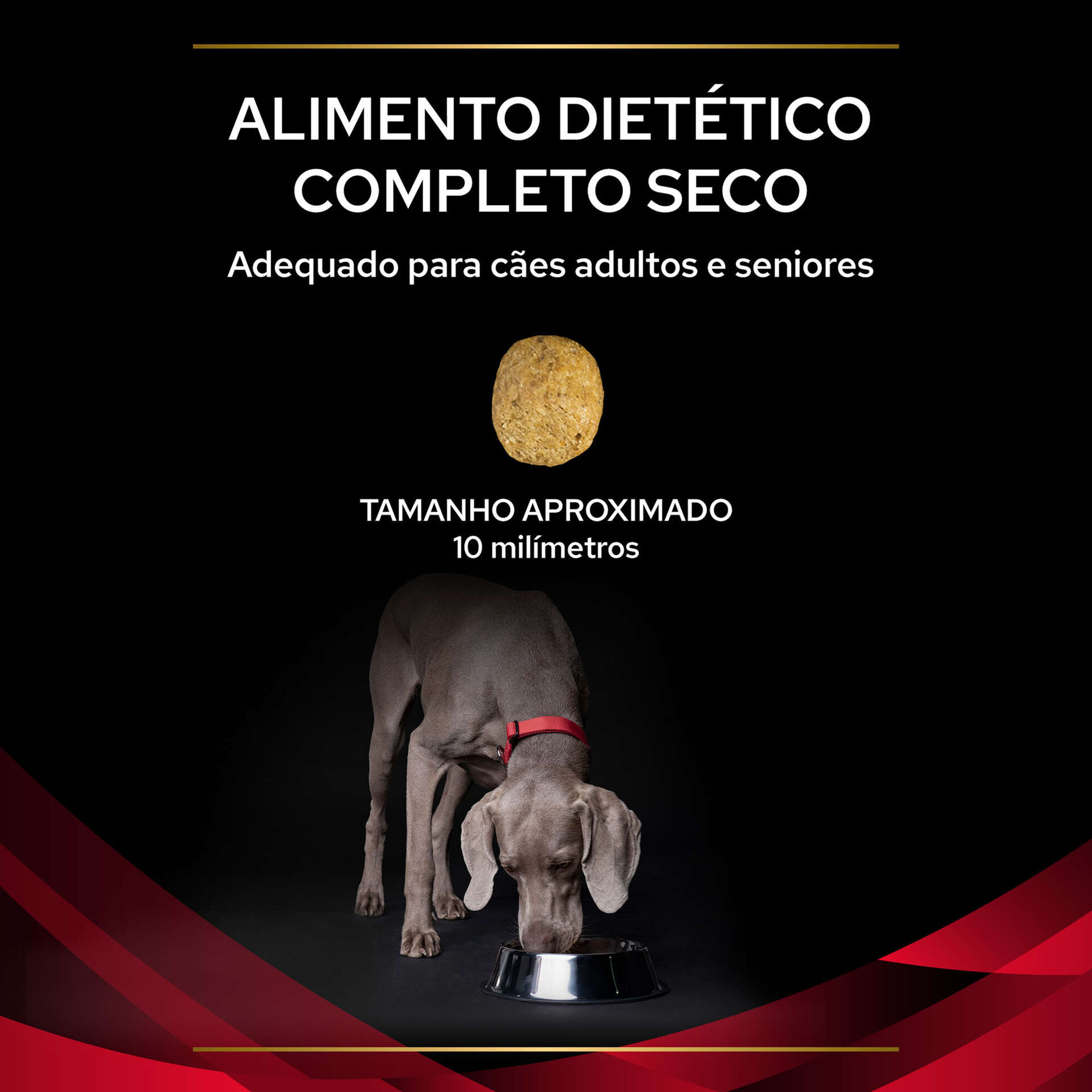 Ração para Cão Adulto Diabetes Management