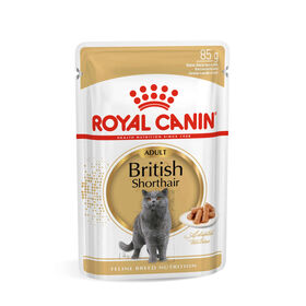 Caixa Comida Húmida para Gato Adulto Maine British Shorthair