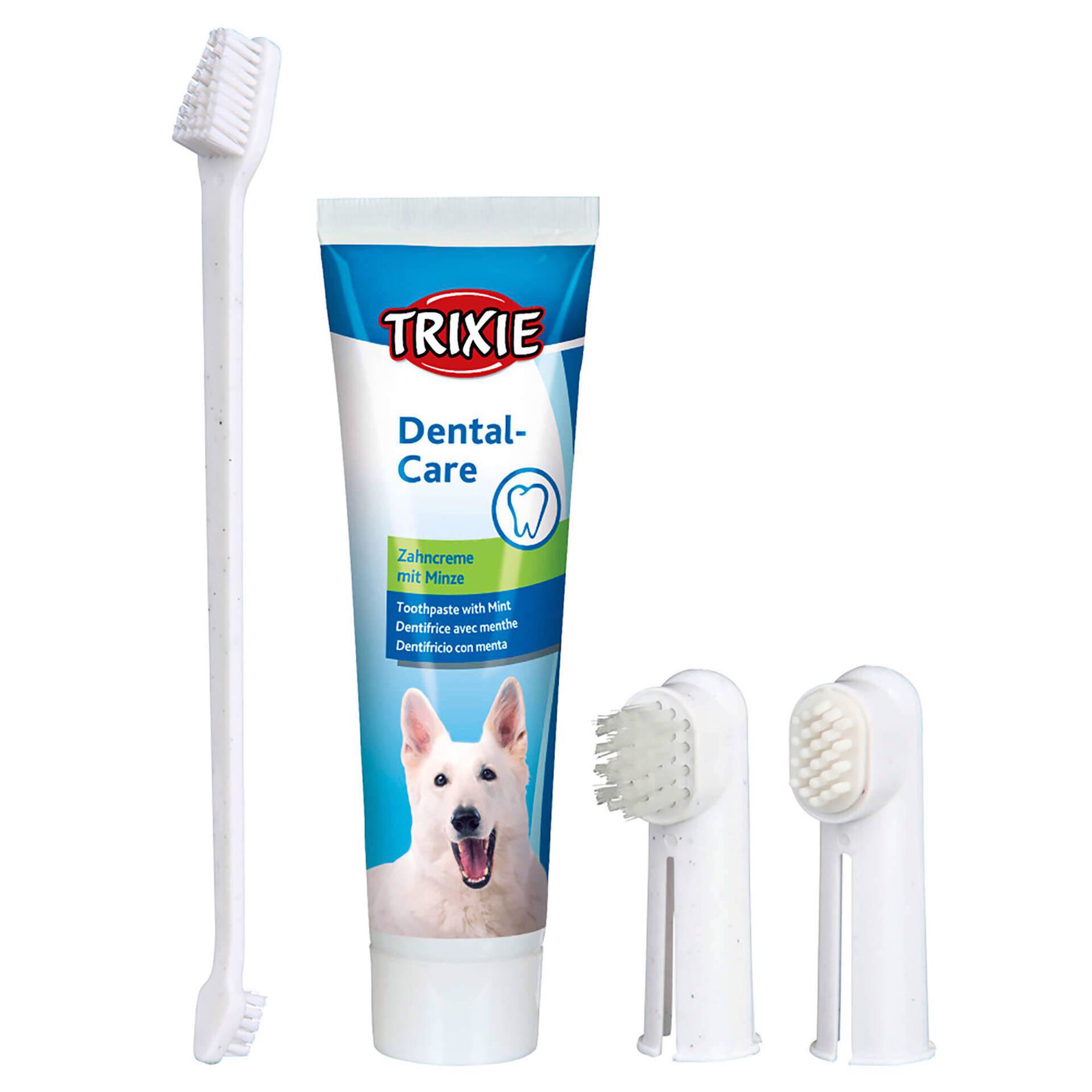 Conjunto Higiene Dentária para Cão