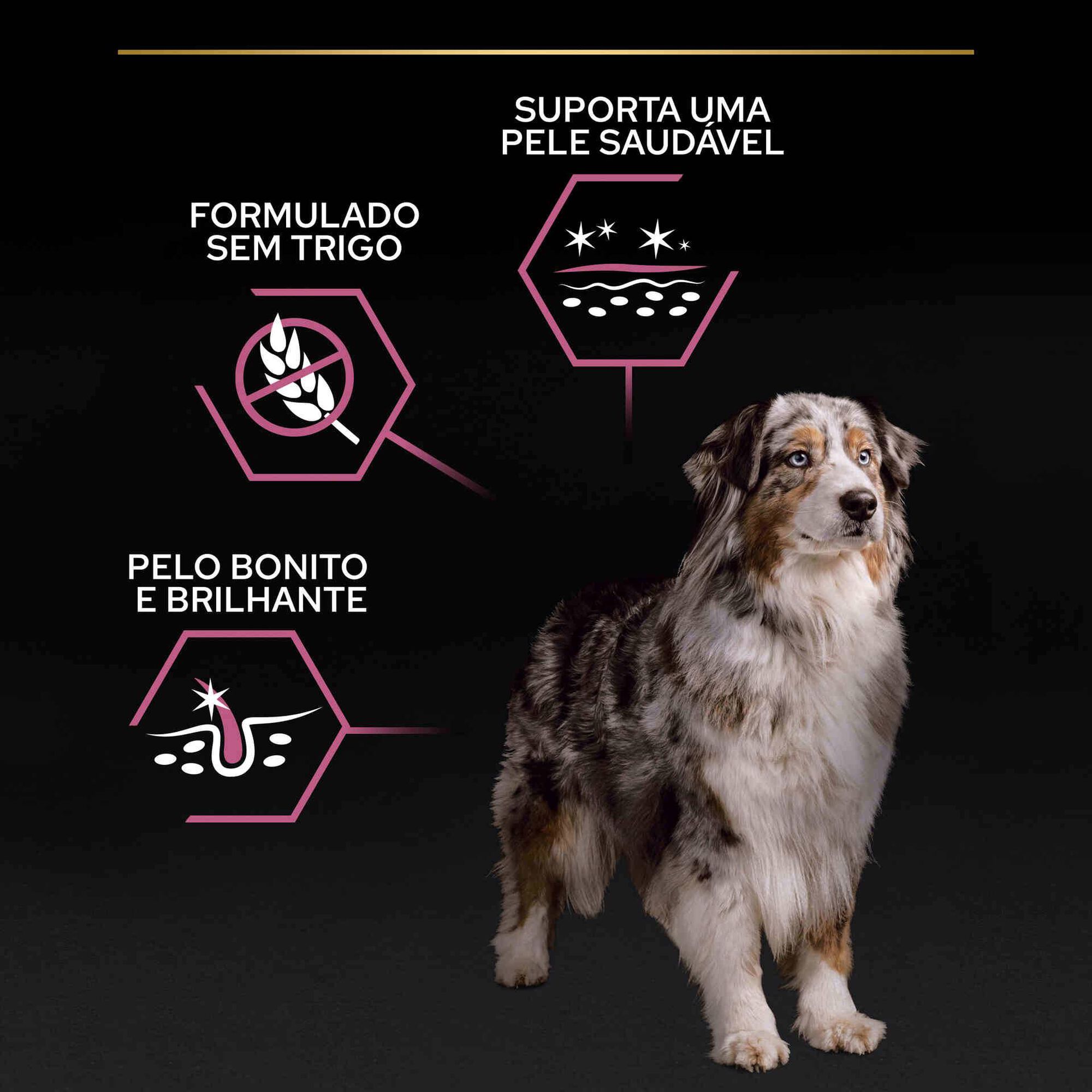 Ração para Cão Adulto Ageing 7+ Médio e Maxi Sensitive Skin Salmão