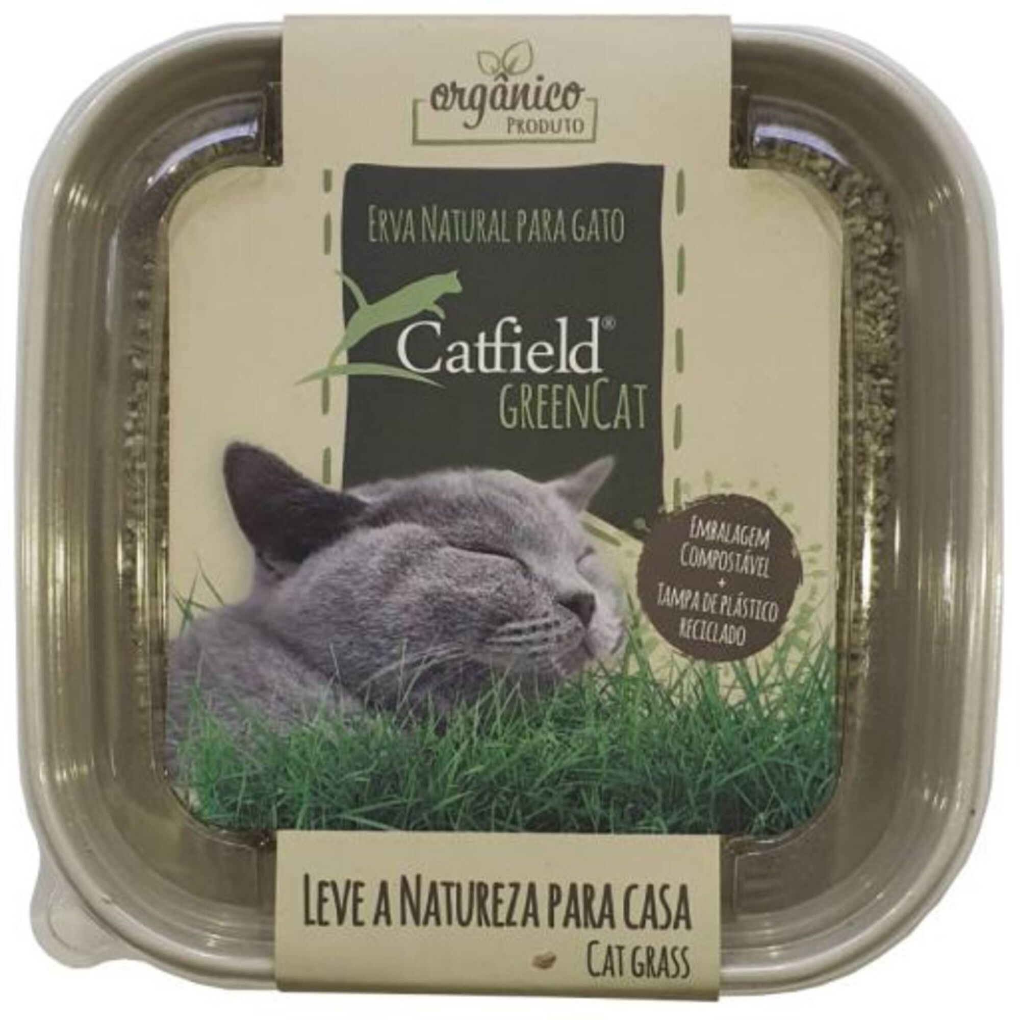 Erva para Gato