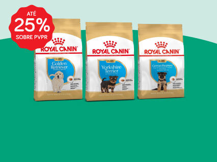 At&eacute; 25% PVPR em alimenta&ccedil;&atilde;o Royal Canin