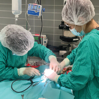 Cirurgia