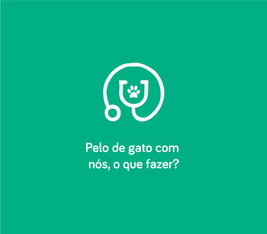 Pelo do gato com nós, o que fazer?