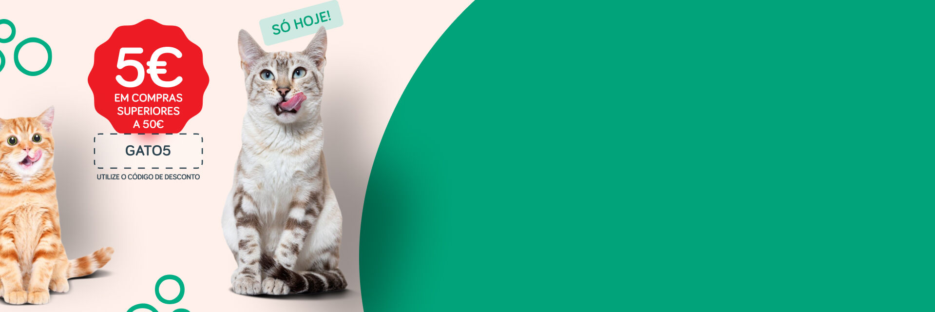 Dia do Gato