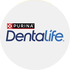 Purina Dentalife