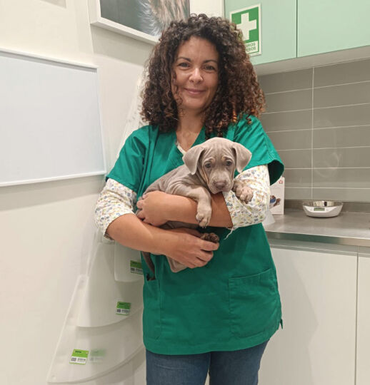 Veterinaria Cao