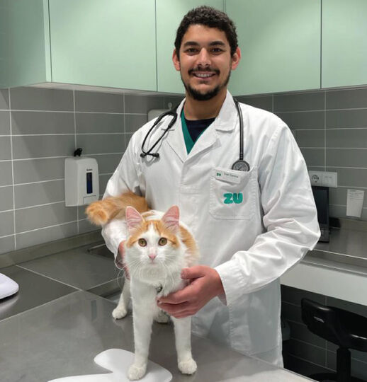 VeterinarioGato