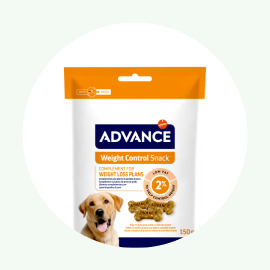 Snacks e biscoitos para c&atilde;o