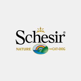 Schesir