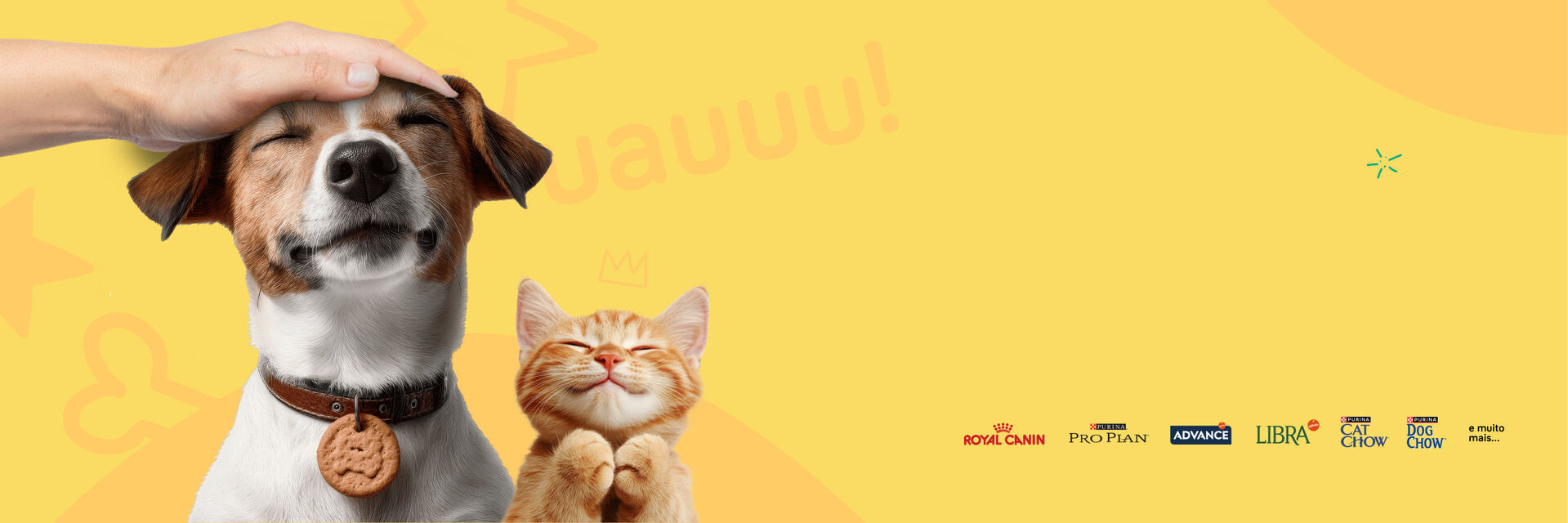 Aproveite at&eacute; 50% Em alimenta&ccedil;&atilde;o e acess&oacute;rios para c&atilde;o e gato