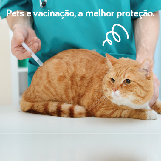 Pets e vacinação