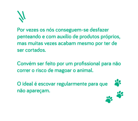 Testemunho da Carolina Barros