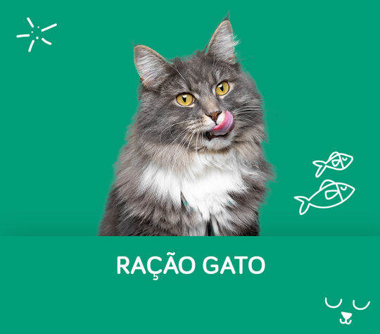 Ração para Gato