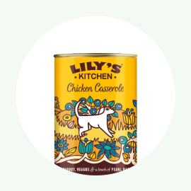 Comida h&uacute;mida para c&atilde;o