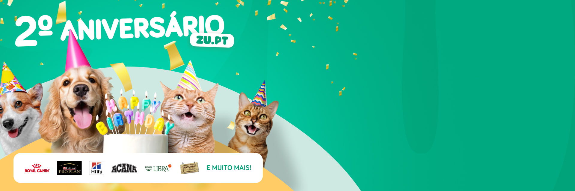 2º Aniversário Zu.PT