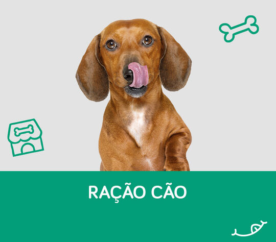 Ração para Cão