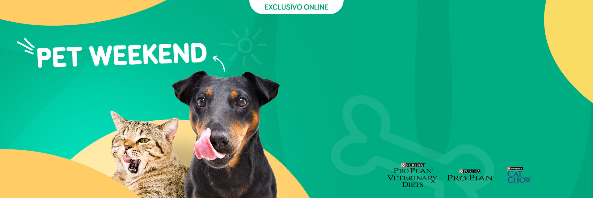 Aproveite os descontos, de 13 a 15/02 em artigos selecionados 