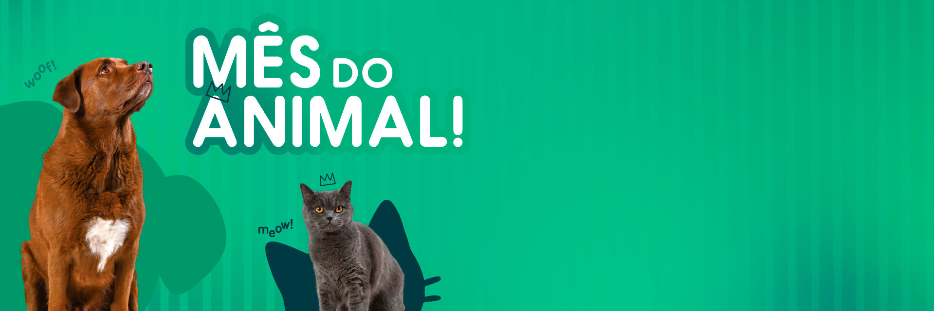 Mime o seu patudo. De 30 de setembro a 3 de novembro de 2025