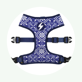 Acess&oacute;rios e brinquedos para c&atilde;o