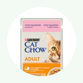 Comida h&uacute;mida para gato