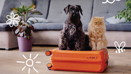 Prepare um Kit de Primeiros Socorros para Viagens