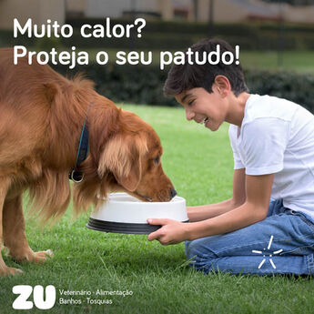 Proteja o seu patudo no verão