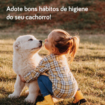 Adote bons hábitos de higiene do seu cachorro!