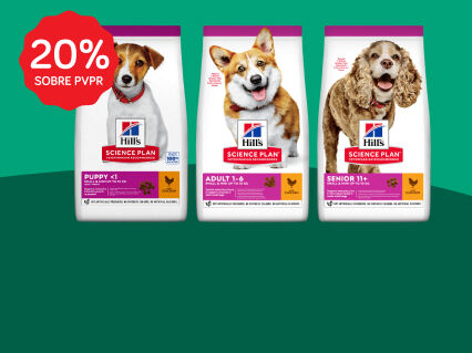 20% sobre PVPR em alimenta&ccedil;&atilde;o seca Hill's Science Plan