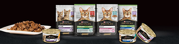 Alimentação Húmida para Gato