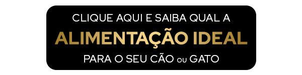 Questionário