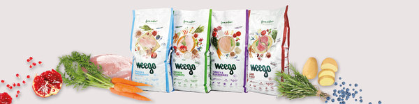 Alimentação para Cão Original
