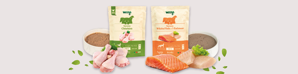 Alimentação Húmida para Cão