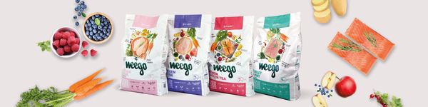 Alimentação para Gato Original