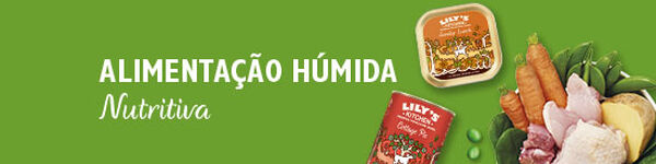 Comida Húmida