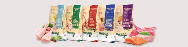 Alimentação para Cão Sem Cereais